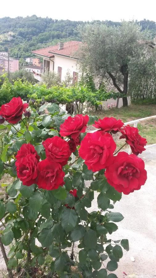 Casetta Del Nonno Bis Arcola Exterior foto